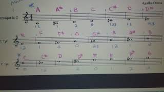 Practice Set 1 trumpet mariachi