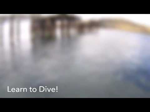 Learn to Dive in Adelaide