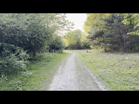 Soft footsteps through the reserve's calm