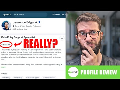 Upwork Profile Review (Lawrence, Data Entry)