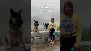 #yosemity #puppy #pettravel #youranimals #dogmom #petfriendlytravel #yourpets #dogreels#usa#love#dog