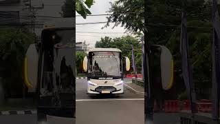 pesona medium bus kapasitas 35 seat terbaru laksana sr3 euro 4 isuzu nqr81