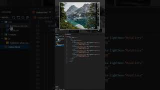 Image Gallery Using HTML CSS And JAVASCRIPT 💪