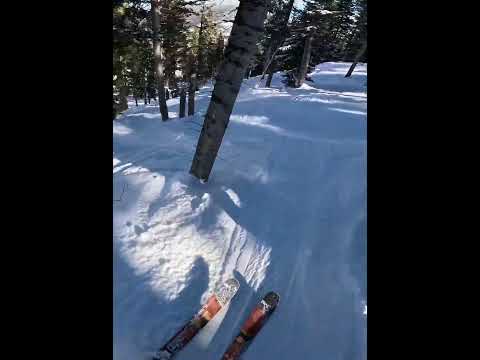 Satisfying Tree Skiing