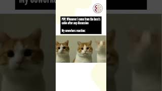 Whenever I come from the boss's cabin...…