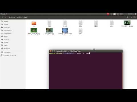 Delete all text files in a folder on ubuntu