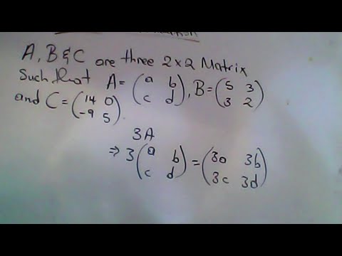 matrix past papers questions.