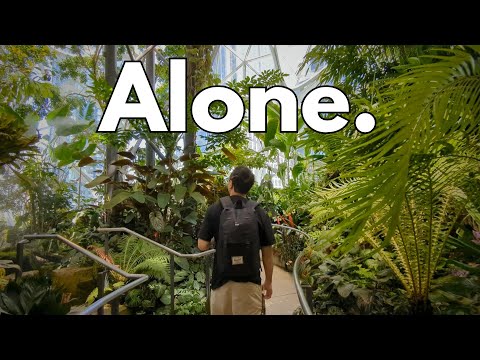 loneliness as a software engineer