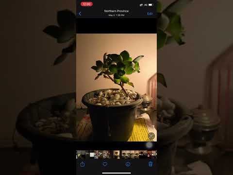 How to hide and unhide photos in iphone | Hide photos gro gallery