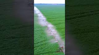 How the center pivot irrigation system work?