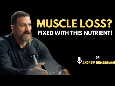 Sarcopenia SOLVED? Scientists Reveal the #1 Muscle-Reviving Nutrient  | Andrew Huberman #motivation