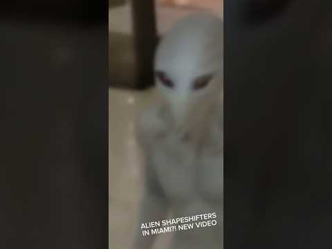 New clip leaked on TikTok! #miamialien #aliens #miamimall #miami #aliensighting #miamialiens