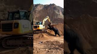 Excavator operator never forget this Day #youtubeshorts #shorts #shortvideos #excavator #bear