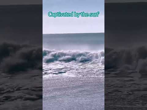 Surf sights and sounds. #beachsounds  #wavesound