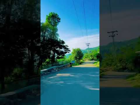 beauty of kashmir ❤️❤️😘😘