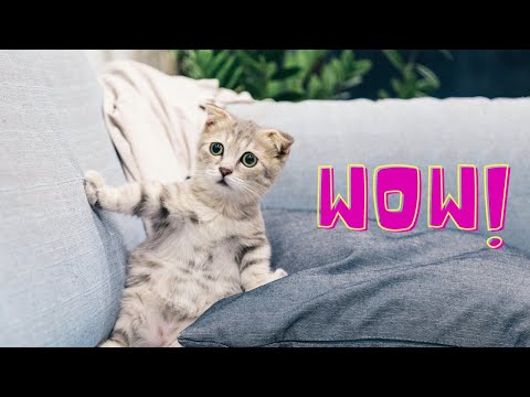 How to code your way to a good mood?