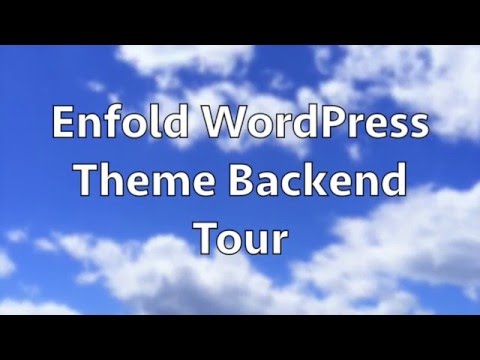 Best WordPress Theme - Enfold Backend Tour