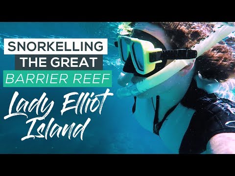 How to Visit Lady Elliot Island - Great Barrier Reef Day Trip