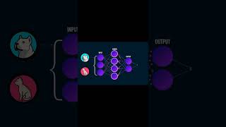 How Machine Learns from Data | AI in 60 Seconds