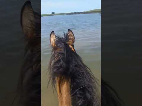 My 2 favorite ppl to ride with #bestfriend #boyfriend #cowboyup #horseriding #horsingaround