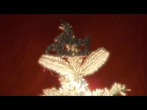 HIGHLIGHT MOMENT!!! LOOI lit up its very first Christmas tree!🎄🥹