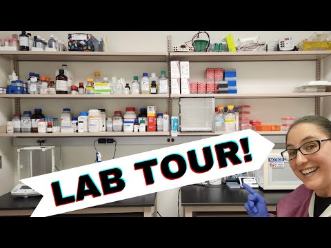 Behind the locked doors of an Infectious Disease Laboratory