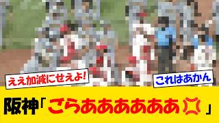 [Brawl] Hanshin Tigers: "That’s enough, you idiots! 💢" [Baseball News] [2ch 5ch] [NanJ NanG React...