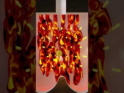 Watch the coin’s rhythmic ride through the fiery chicken loop! 🔥🍗🎶