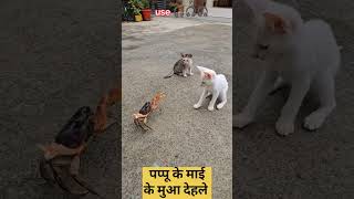 India Pakistan strike 🤣🤣🤣🤣