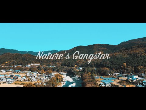 【MV】AKIKAZE / Nature's Gangstar