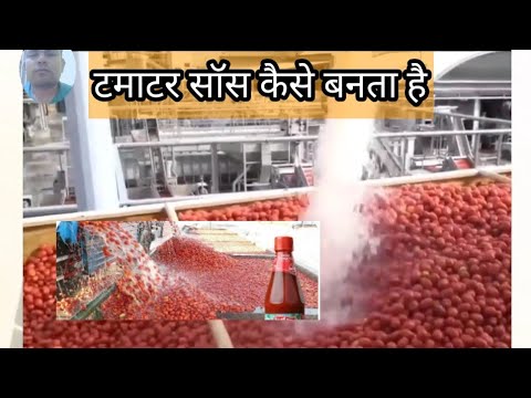 फैक्ट्री में टमाटर कैचप (सॉस) कैसे बनता हैं?| How tomato ketchup is made ?