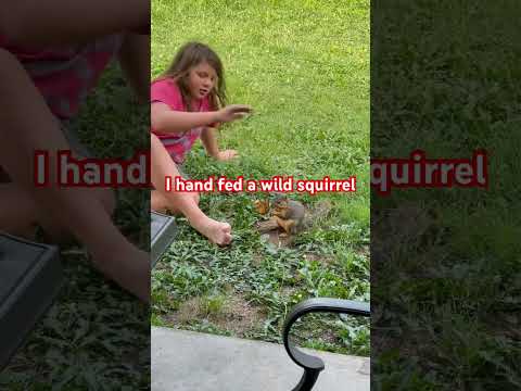 Feeding wild squirrel 🐿  🐿