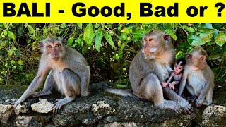 BALI - Worth a visit? – Pros & Cons