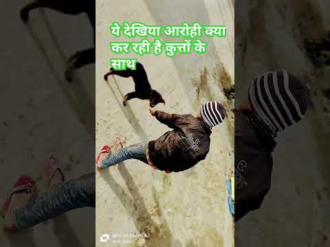 ये देखिएआरोही क्या कर रही हैं कुत्तोंके साथ#reels #ytshorts #youtubeshorts  🐕🐕🐶