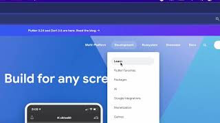 The Best Flutter Roadmap || Official Flutter Roadmap || Flutter || Roadmap