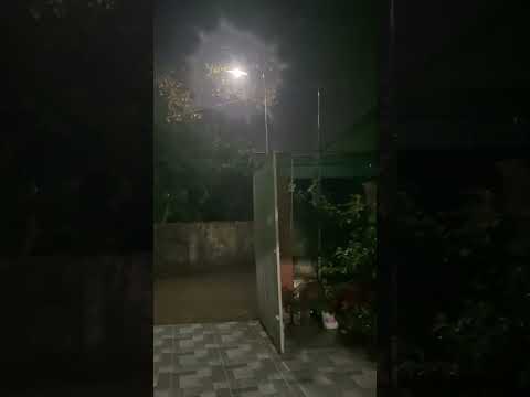 Rainstorm with Thunder and Wind – Relaxing Nature Sounds for Sleep #naturesounds #nature