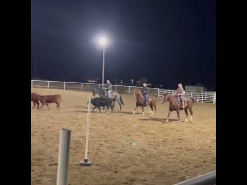 Family team penning night