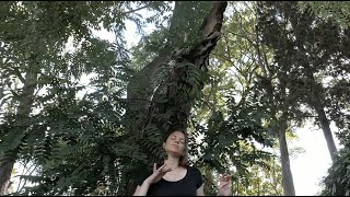 Harmonize your Feminine & Masculine Polarities: Divine Union Reiki Light Language Healing