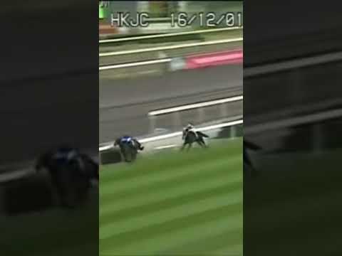 2001年　香港ヴァーズ　ステイゴールド　ラストラン