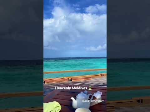 Heavenly Maldives 🏝#short