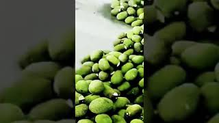 mít mùa mưa #mit2025 #fruit #mitruotdo #mítthái #mientay #dancatrutinh #nhactrutinh