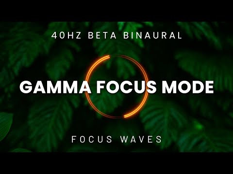 Gamma Focus Mode | 40Hz Beta Binaural Beats to Boost Concentration, Clarity, Productivity & Memory