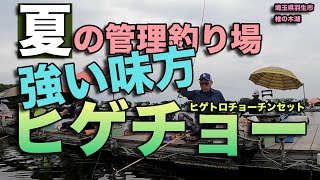 Higecho (Hige Torochochin Set) is a powerful ally at managed fishing grounds in summer.