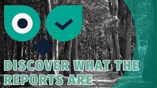 Discover what reports are in Winking Owl