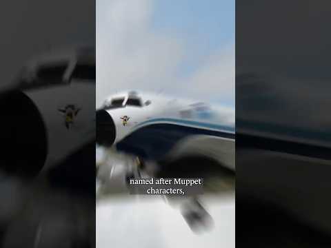 Miss Piggy flies through the eye of Hurricane Milton