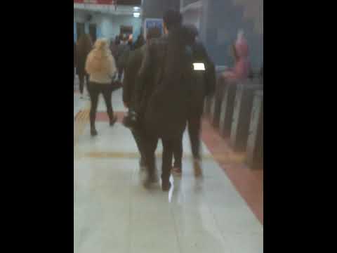Süleyman Aydın- Vurgun Gönül