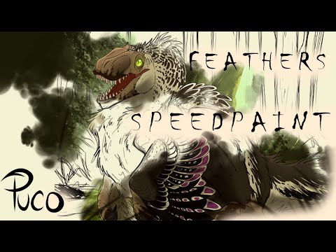 Feathers | SPEEDPAINT |  [ HOW I DRAW FEATHERS ]