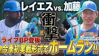 【全投球】加藤貴之ライブBP登板 レイエス&万波ら主力相手に抜群の安定感<2/17ファイターズ春季キャンプ2025>
