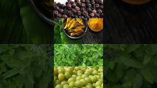 Best immune booster/ benefits of peper,turmeric, thulasi,nellikkai, #immunity #food #tamilhealthtips
