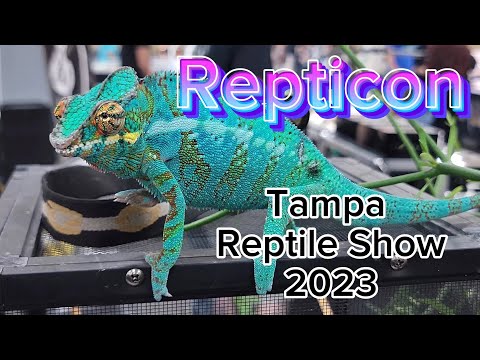 Repticon 2023